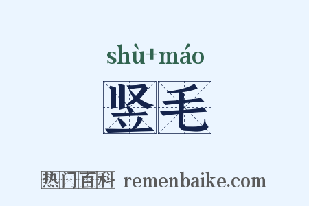 竖毛是什么意思的图片